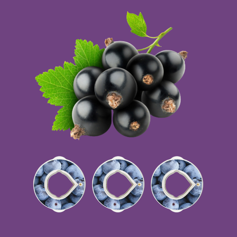 Pods CASSIS x3 🍇